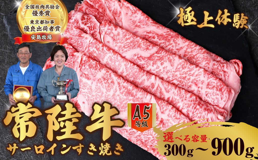 
            【選べる内容量】 常陸牛 A5ランク サーロインすき焼き 300g 600g 900g | 常陸牛 国産牛 A5ランク サーロイン 和牛 BBQ バーベキュー 牛肉 肉ギフト すき焼き しゃぶしゃぶ お取り寄せ 焼肉 焼き肉 霜降り 選べる 茨城県 常陸太田市
          