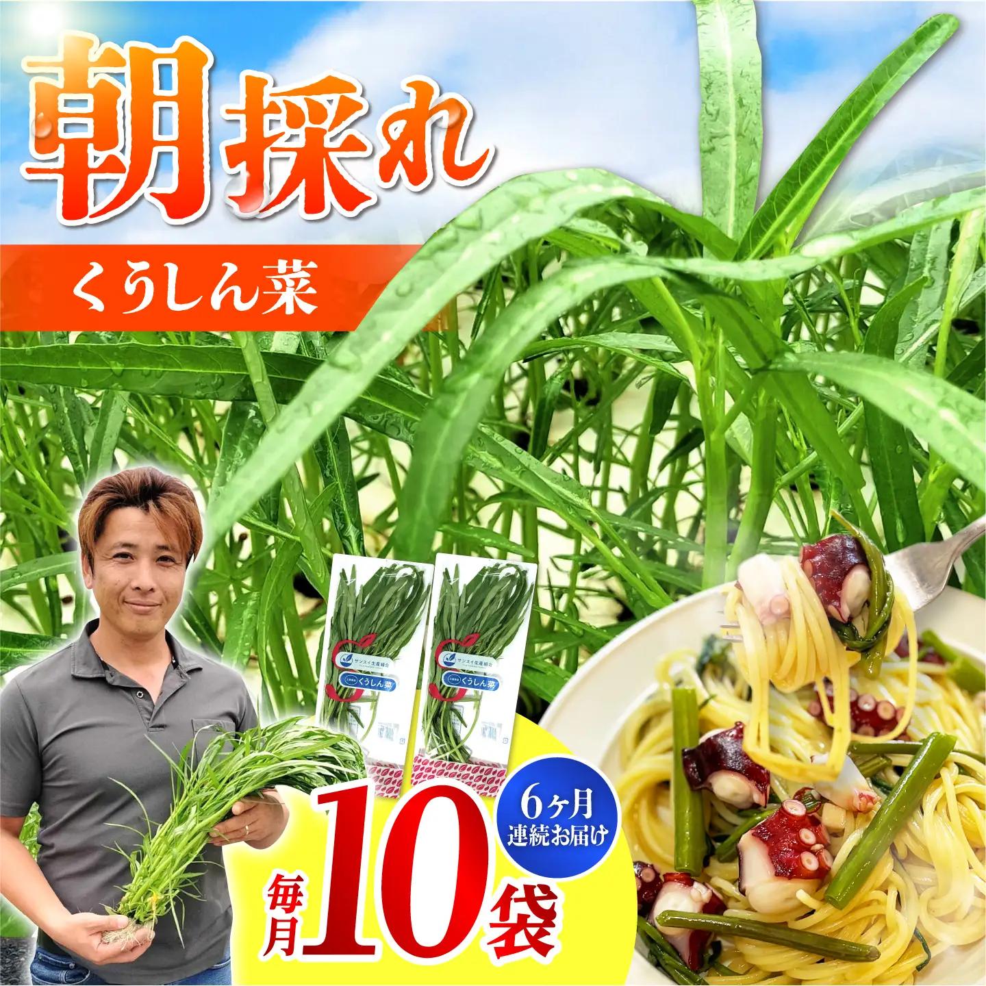 【6回定期便】新鮮朝採れ くうしん菜 10袋(計60袋) / 新鮮 野菜 葉物野菜 水耕栽培 産地直送 サラダ エンサイ ヨウサイ 国産 小分け 詰め合わせ まとめ買い 料理 / 亀山市 / グリーンハウス吉田[AMCD005]