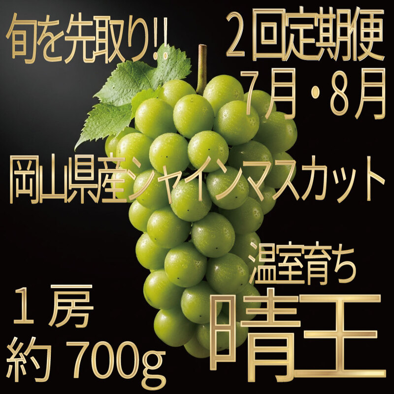 [HS]【定期便全2回】ぶどう先行予約7月・8月発送温室シャインマスカット晴王1房約700g ブドウ 葡萄  岡山県産 国産 フルーツ 果物 ギフト デザート 食後 酸味が少ない 産地直送