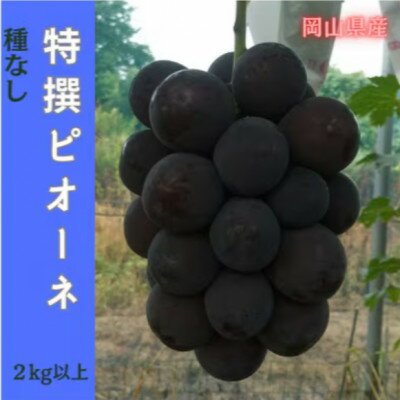 【ふるさと納税】【2026年先行予約】岡山のぶどう(ピオーネ)2kg(4～5房)【配送不可地域：離島】【1700843】