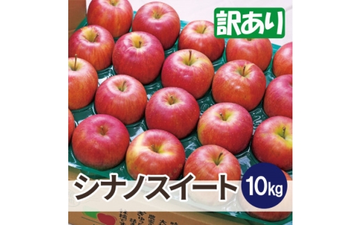 ＜26年11月から順次発送＞青森県産 りんご シナノスイート 約10kg 訳あり 家庭用【1735220】