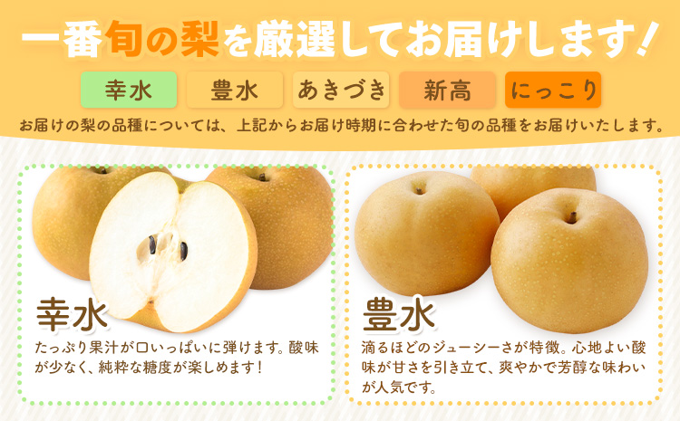 先行予約 旬の梨 約8kg 幸水 豊水 あきづき 新高 にっこり《8月上旬-10月中旬頃出荷予定》 栃木県 野木町 なし ナシ くだもの 果物 青果物 フルーツ