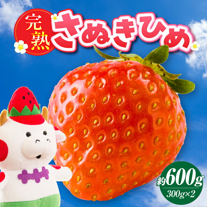【ふるさと納税】【先行予約】完熟さぬき姫　約600g いちご 果物 フルーツ デザート 果実 さぬきひめ 旬の果物 旬 完熟 甘い いちごジャム 完熟いちご 完熟フルーツ おすすめ 人気 香川県オリジナル 化粧箱 ご褒美 ストロベリー 香川県 三木町 送料無料