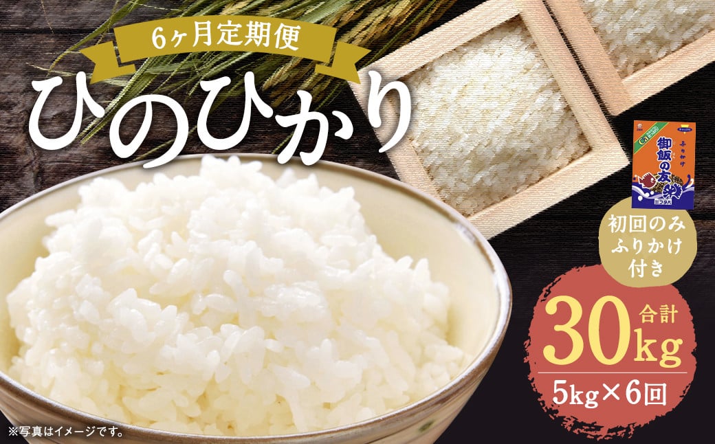 【6回定期便】ひのひかり 5kg (初回 ご飯の友 付き) 計30kg 熊本 米 ふりかけ 御飯の友 【2025年10月上旬より1回目の発送予定】