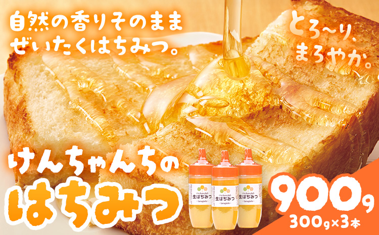 けんちゃんちの国産蜂蜜 300g×3本《30日以内に出荷予定（土日祝除く）》| ふるさと納税 はちみつ ハチミツ 蜂蜜 国産蜂蜜 天然蜜蜂 徳島県 佐那河内村 送料無料