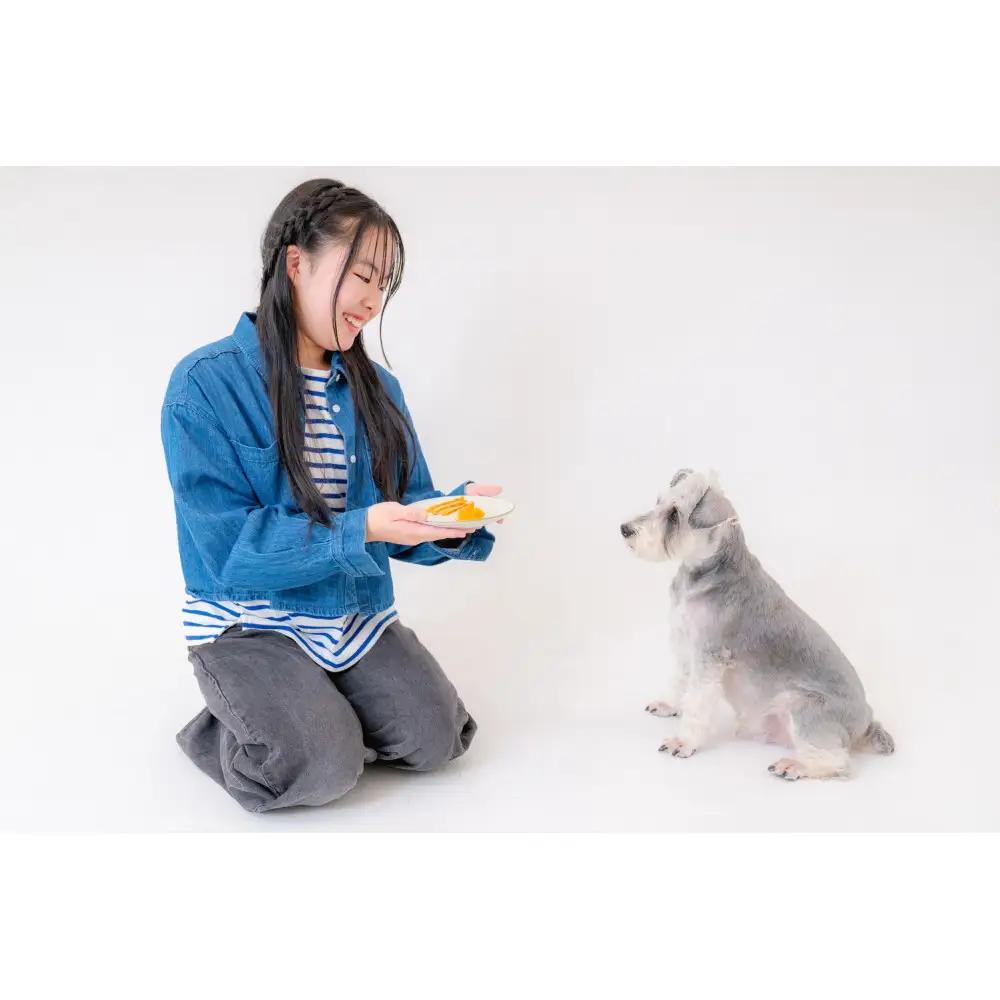 Chillわんプラチナアップル | セミドライフルーツ 愛犬 無添加 りんご