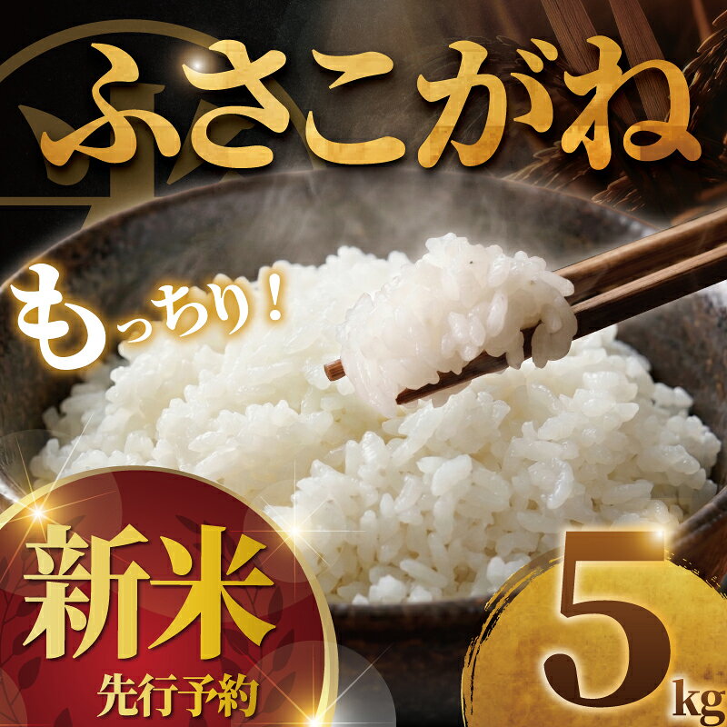 【ふるさと納税】 新米 ふさこがね 5kg 【2026年9月以降発送】 米 お米 ブランド米 国産 美味しい 白飯 ご飯5kg 精米 白米 こめ コメ kome おむすび おにぎり 弁当 グルメ 朝食 贈答 ギフト 魚 肉 の おかず にあう 令和8年産 千葉県産 鍋屋商店 千葉 東金 先行予約