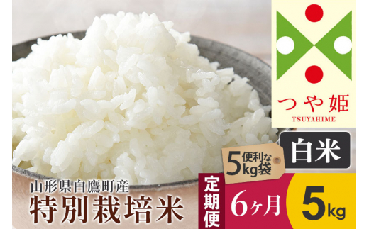 
《定期便6ヶ月》【白米】つや姫 5kg×6回（特別栽培米）令和5年産 山形県産 しらたかのお米
