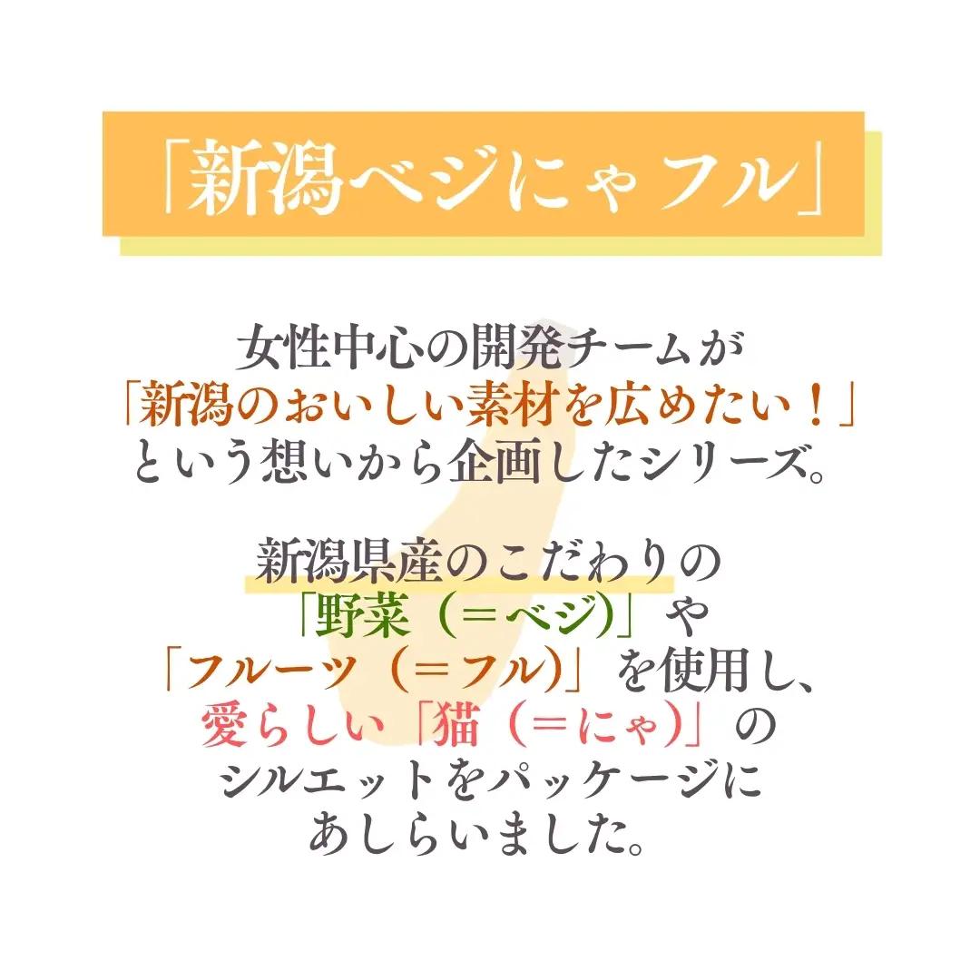 新潟ベジにゃフル ばなな南瓜ポタージュ 30袋セット 阿部幸製菓【0002-0392-01】