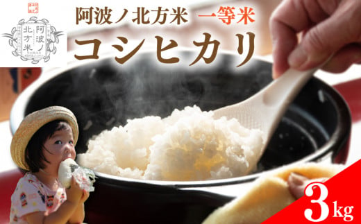 【 単品 3kg 】 コシヒカリ 令和6年産 阿波ノ北方米 1等 米 こめ ご飯 ごはん おにぎり 白米 精米 新米 卵かけご飯 食品 備蓄 備蓄米 保存 防災 ギフト 贈答 プレゼント お取り寄せ グルメ 送料無料 徳島県 阿波市 阿波ノ北方農園