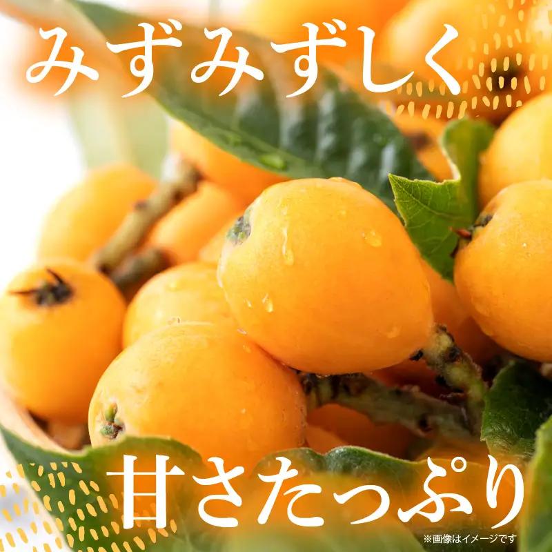 【期間限定】田ノ浦びわ 約1.08kg（270g×4パック） C07014