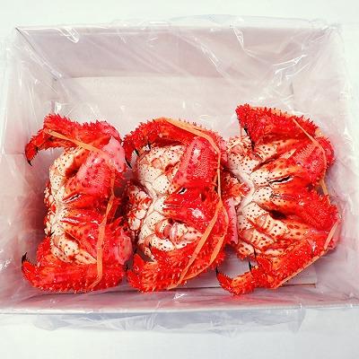 ふるさと納税 根室市 【北海道根室産】花咲ガニ400〜500g×3尾 B-14122 |  | 02