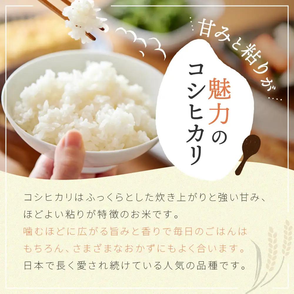 【令和7年産米】南魚沼産コシヒカリ 白米 5kg【銘柄米 ブランド米 精米 こしひかり コシヒカリ 魚沼産 新潟米 産地直送 お米 米 こめ コメ ご飯 御飯 ごはん】