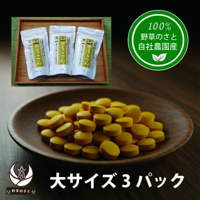 ふるさと納税 山梨県 秋うこん 600粒×3パック