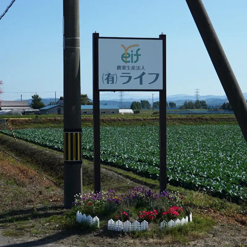 新米 ななつぼし 10kg 令和8年産 【12月発送】北海道 南幌町産 米 白米 精米 有限会社ライフ NP1-514