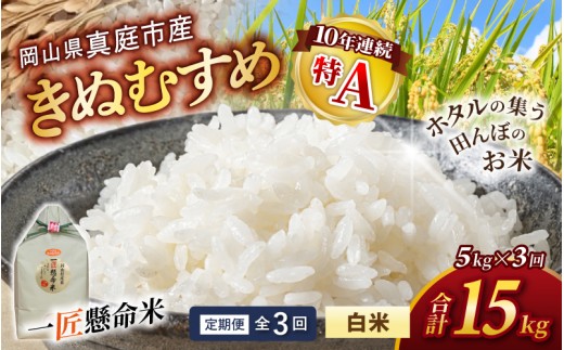 
                  ＜定期便全3回＞ 令和8年産 きぬむすめ 白米 5kg×3回 配送タイミング指定可 特A米 特A評価 米 お米 白米 精米 国産 米 こめ 5キロ R8 5kg 定期便 新米きぬむすめ 人気 ブランド 竹中商店 2026年産 国産米 岡山県産米 【tkns-tkb013】
                