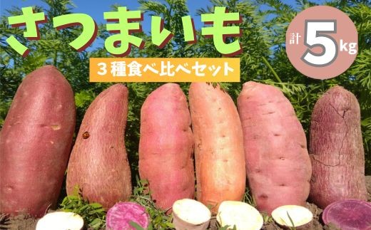 
                  106005 さつまいも食べ比べセット5kg さつまいも サツマイモ 冬限定 焼き芋 スイートポテト 安納芋 土佐紅 シルク スイート 紅はるか ふくむらさき 季節限定 産地直送 昭作畑/高知県 奈半利町
                