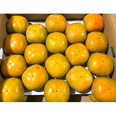 ふるさと納税 三豊市 たねなし柿(刀根柿)　約7.5kg