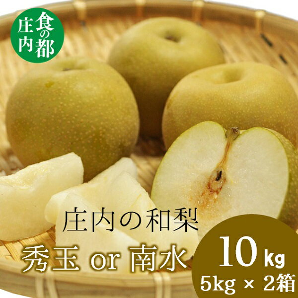 【ふるさと納税】食の都庄内　庄内の和梨【秀玉or南水】約10kg※9月中旬ごろより順次配送（有限会社庄内旬青果）