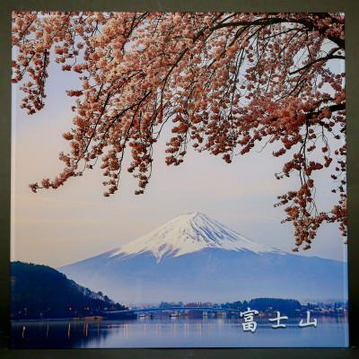 ふるさと納税 山梨県 富士山アクリルパネル　30SQ　春