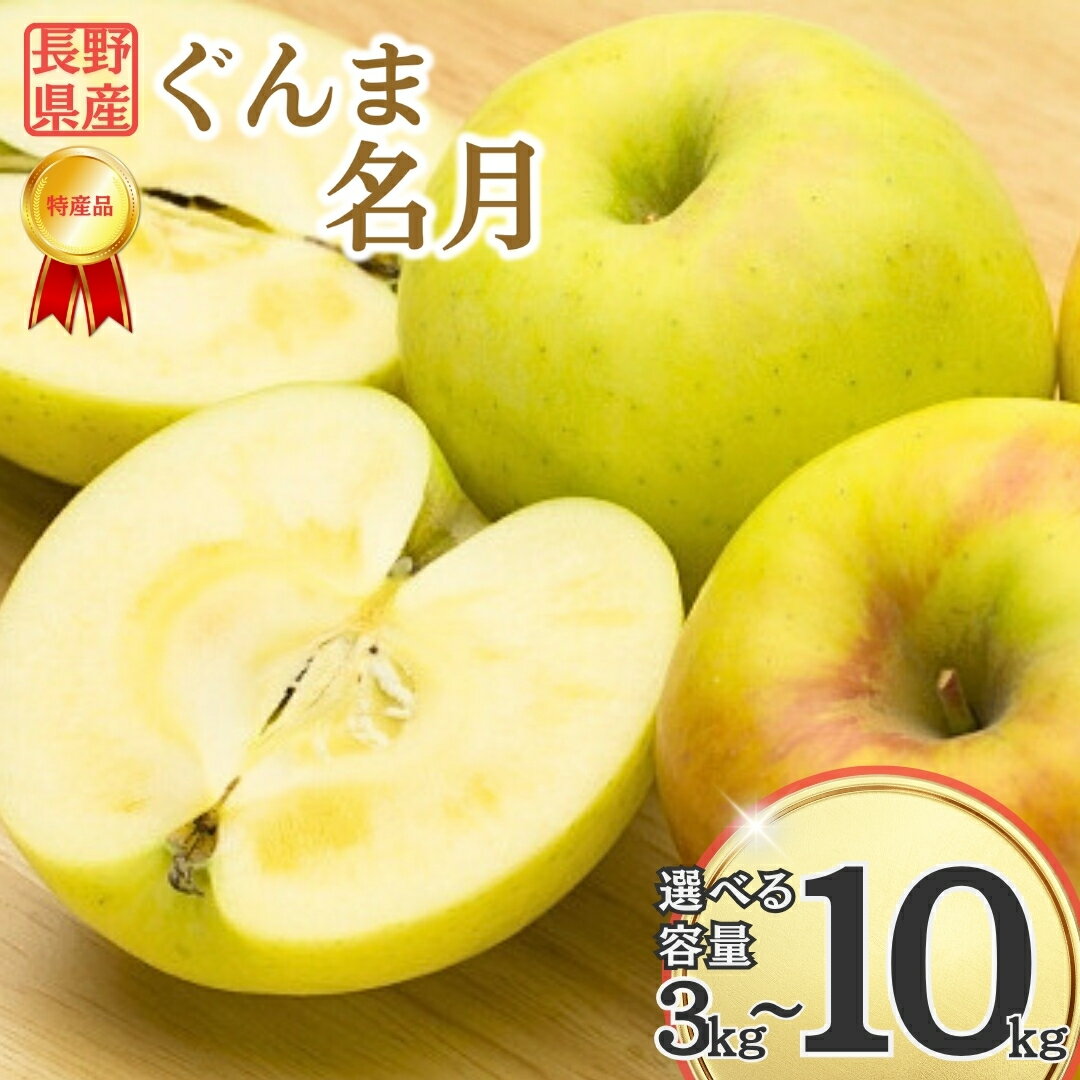 【ふるさと納税】【2025年先行予約】りんご ぐんま名月 約3kg/5kg/10kg|林檎 蜜入り 果物 フルーツ サン ぐんまめいげつ 群馬名月 3kg 5kg 10kg 信州林檎 信州りんご 信州 長野 千曲市 送料無料