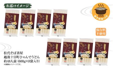 うどん ひゃんで 600g×8袋 約48人前 乾麺 うどん