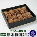 【ふるさと納税】【訳あり】カルシの森特選 原木しいたけ（生）＜選べる＞約1kg／約2kg 原木椎茸 しいたけ 椎茸 肉厚 濃厚 野菜 北海道 新得町 送料無料【Y-1005】