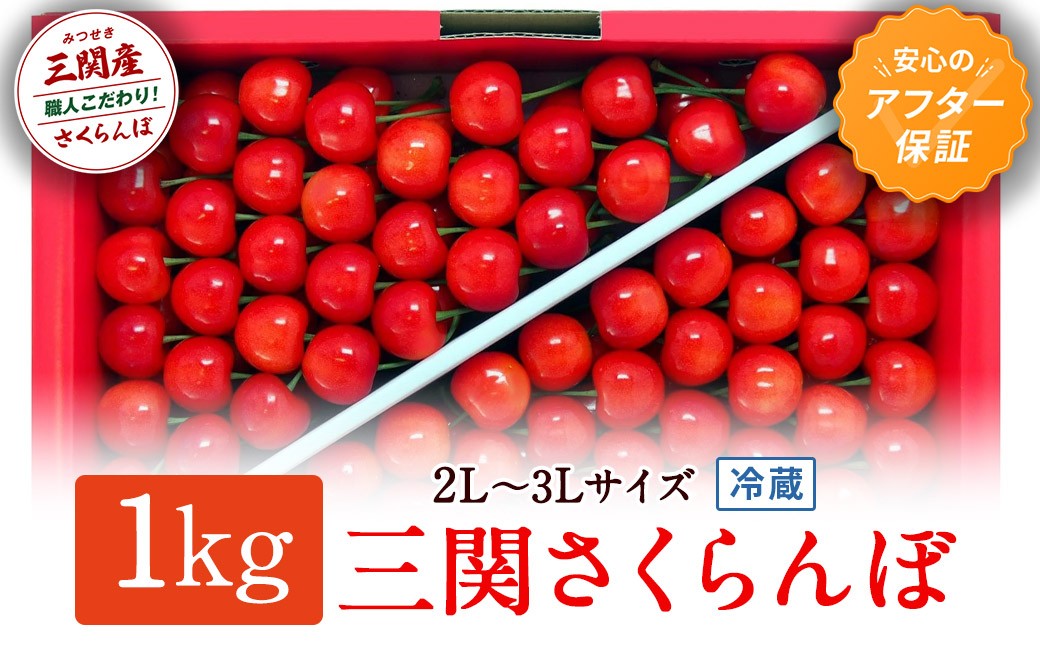 
                  三関さくらんぼ 3L/2Lサイズ 1000g  【（同）三関加敬農園】[C2-8701]
                