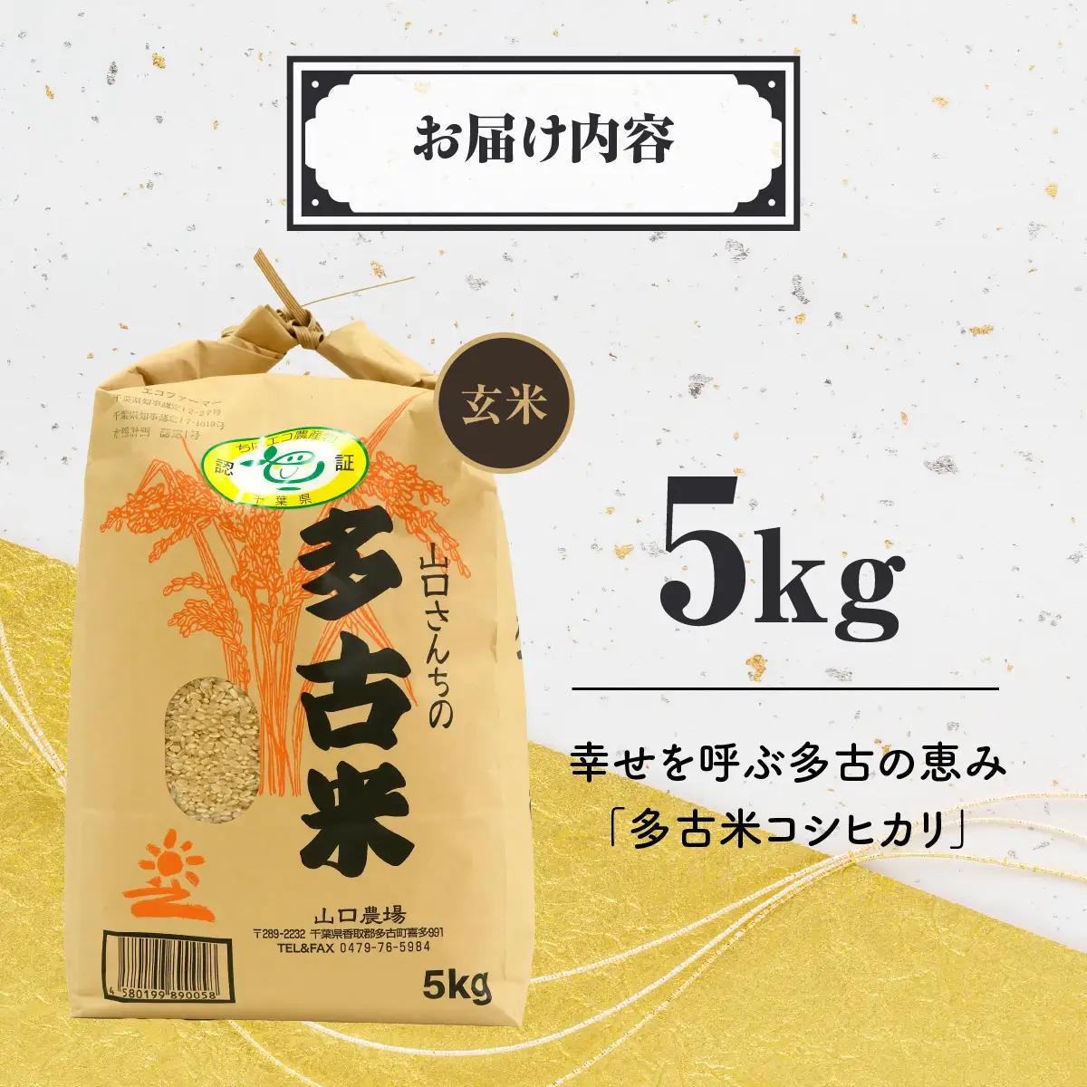 山口さんちの【令和8年産】多古米コシヒカリ(玄米)5kg_ 玄米 米 こめ コメ   コシヒカリ 米 こしひかり 【配送不可地域：離島・沖縄県】TAKF045