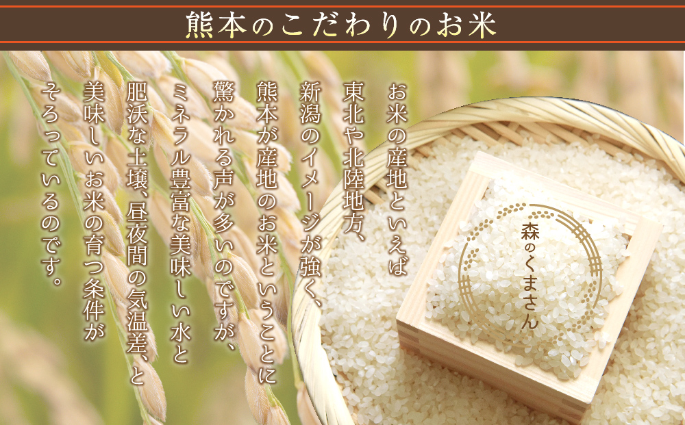 【令和6年度】 内田農場の新米 森のくまさん 20kg （5kg×4袋） 白米 お米 人気 美味しい 白ご飯 こだわり 農業 甘味 香り ツヤ お米の王様 熊本県 阿蘇市