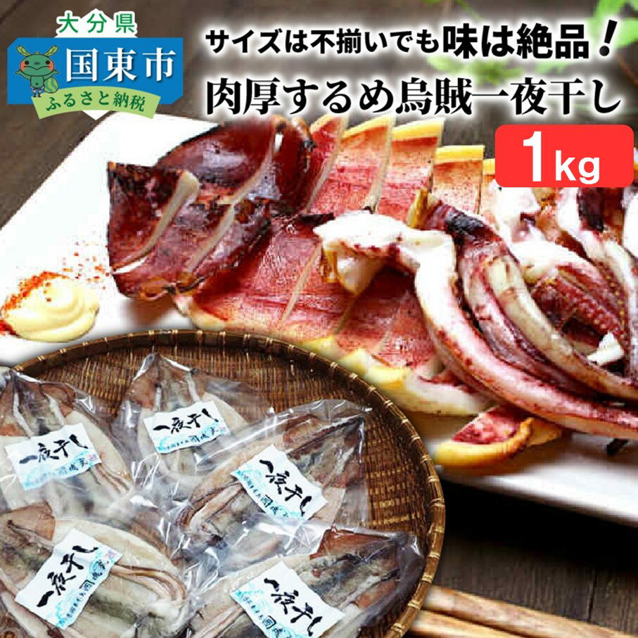 【ふるさと納税】訳あり 不揃い するめイカ 一夜干し 1kg以上 3～6尾 サイズ不揃い 肉厚 イカ 海鮮 干物 甘塩 おつまみ おかず ゲソ 耳 コリコリ食感 炙り 酒の肴 アテ お取り寄せ グルメ 送料無料