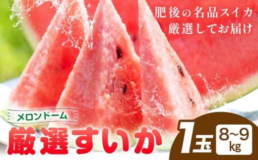【先行予約】厳選すいか 1玉(8-9kg)  道の駅七城メロンドーム《2027年5月中旬-6月上旬》品種おまかせ ランダム 肥後漫遊 味で勝負iS 祭りばやし 果物 フルーツ スイカ 西瓜 九州産 熊本県産 送料無料