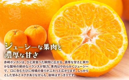 訳あり ポンカン 5kg 20-25玉 サイズ混合《2月中旬-3月中旬頃出荷》熊本県 葦北郡 津奈木町 ポンカン みかん 柑橘 送料無料