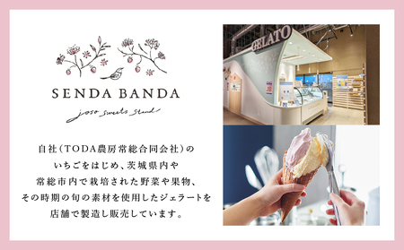 SENDA BANDA ジェラート詰め合わせ〈130ml×6個〉