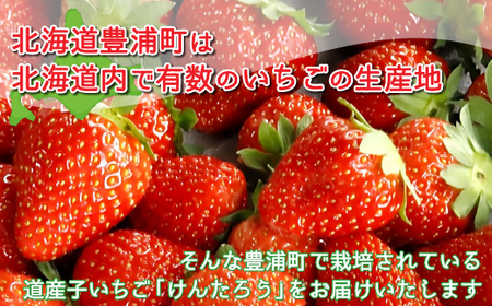 【2025.5月以降順次出荷】いちご「けんたろう」2トレーセット 【 ふるさと納税 人気 おすすめ ランキング 果物 いちごイチゴ 苺 国産いちご 国産苺 けんたろう セット おいしい 美味しい 甘い