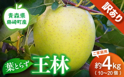 【先行予約】王林 訳あり 約4kg（10～20個）りんご リンゴ 林檎 王林 訳あり 家庭用 青森県産 果物 フルーツ  F41-0026