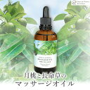 【ふるさと納税】【Nature Plants Skin Care】～沖縄の海と大地の恵みを浴びる～ミネラルオイルセット | スキンケア 化粧品 コスメ 美容 人気 おすすめ 送料無料