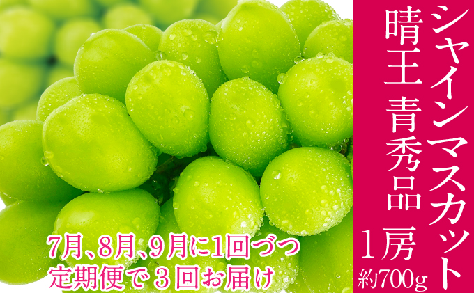 2026年予約受付中 シャインマスカット 晴王 7月8月9月に1回づつ出荷 3回 1房 約700g  人気 岡山県産 種無し 皮ごと食べる みずみずしい  フレッシュ 晴れの国 おかやま 果物大国 ハレノフルーツ
