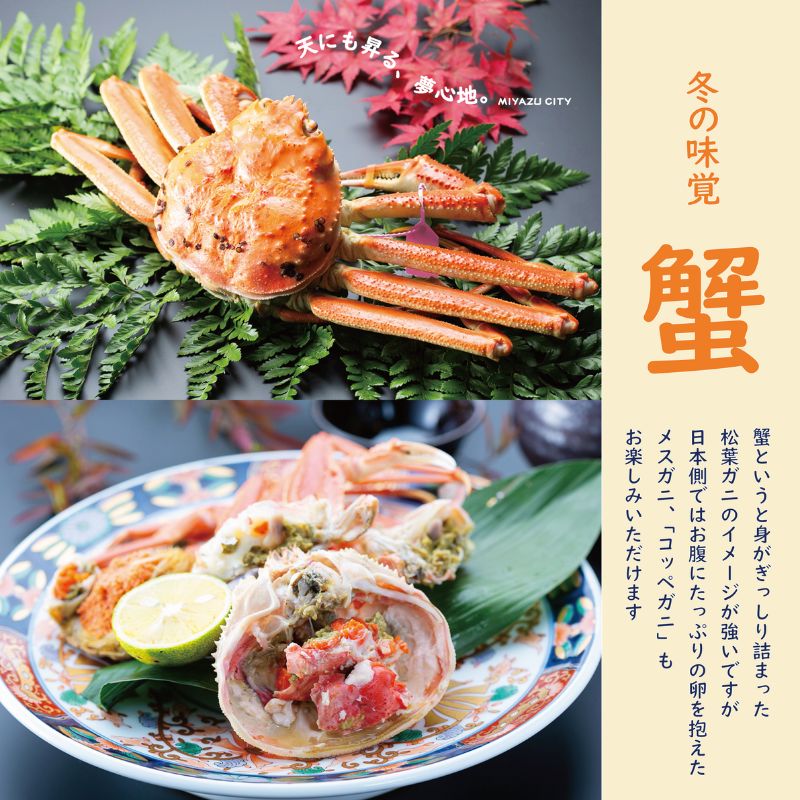 京都府宮津市 ANAトラベラーズホテル割引クーポン15,000点分
