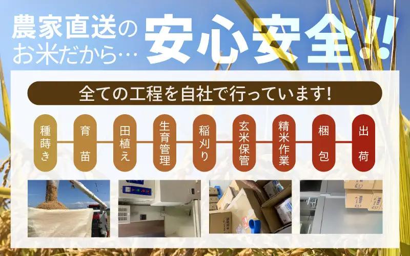 先行予約 定期便 12ヶ月連続お届け コシヒカリ 2kg (1袋) × 12回 計24kg 白米 ブランド米 2026年10月上旬以降順次発送 [F-8914]