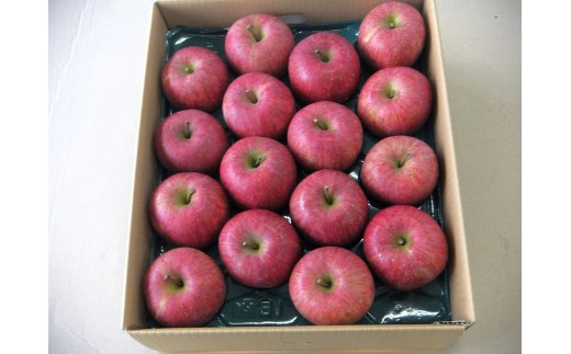 りんご（サンふじ）５ｋｇ　１３～１８玉　0056-2621