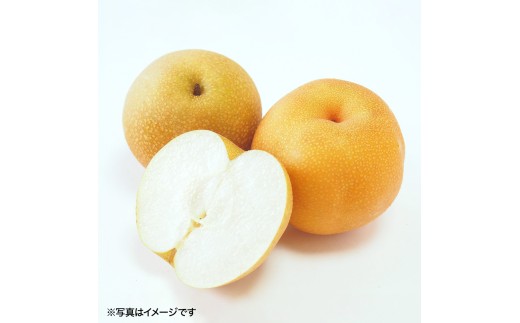 恵水 約 3kg 4～6玉 (茨城県共通返礼品:かすみがうら市) 2026年 マスカット ぶどう 葡萄 ブドウ フルーツ 果物 くだもの 旬 食べ比べ セット 詰め合わせ 国産 産地直送 ギフト 贈答