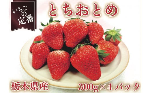 [12月中旬より順次発送予定・いちごの定番] とちおとめ1200g｜いちご イチゴ 苺 フルーツ 果物 産地直送 栃木県産 矢板市産 先行予約 [0353]