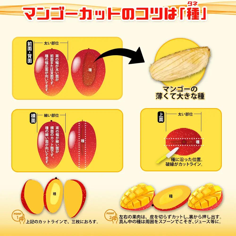 2026年発送【沖縄やんばる産】約2kg　家庭で楽しむアップルマンゴー （Ms mango farm） 南国 南国フルーツ 先行予約 期間限定 沖縄 甘味 糖度 フルーツ 果物 果実 プレゼント ギフ