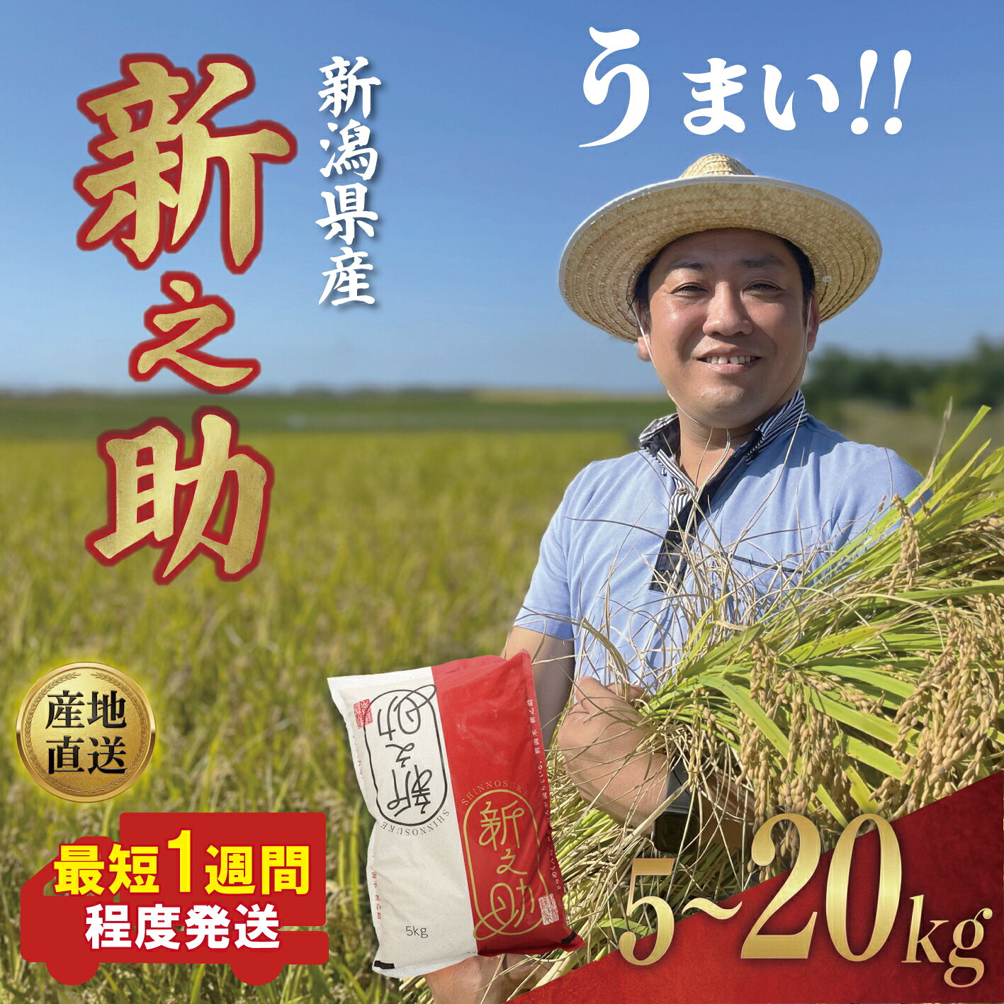 【ふるさと納税】 最短1週間発送!! 令和7年産 新之助 5kg 10kg 20kg 選べる 容量 お米 こめ ご飯 ごはん おいしい 新潟 新潟県 米 しんのすけ 新発田産 新潟産 朝食 昼食 夕飯 炊きたて 精米 ブランド watasho007P