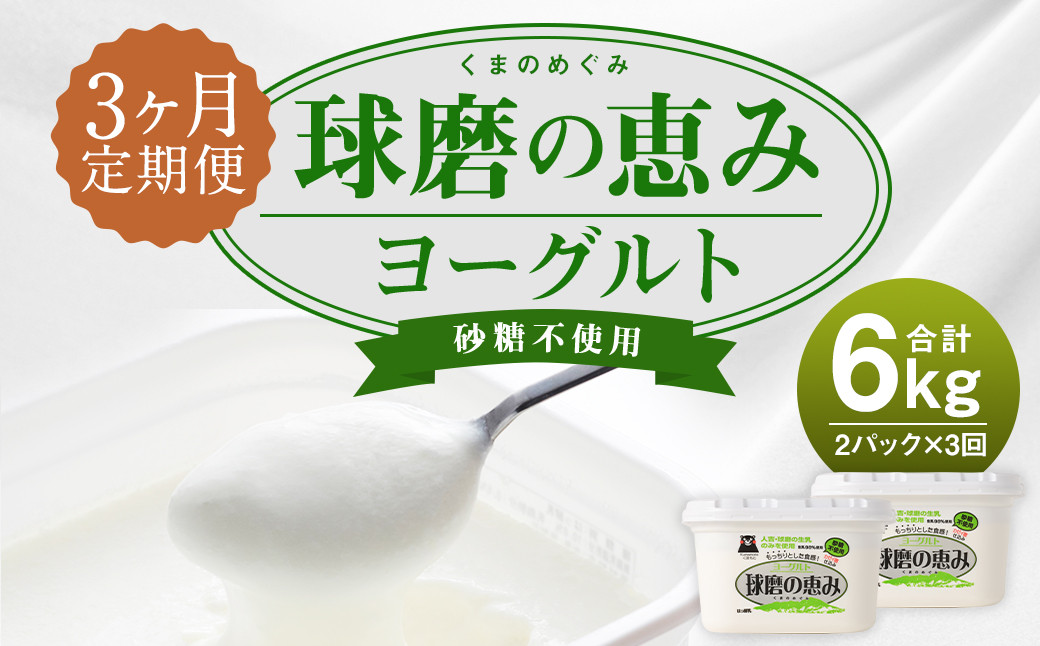 
【3ヶ月定期便】球磨の恵 ヨーグルト 砂糖不使用 1kg×2パック×3回 合計6kg
