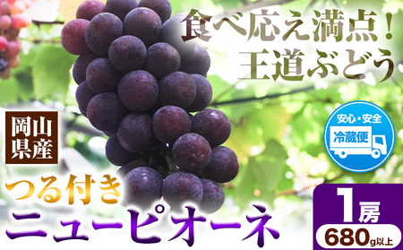 H-33a  岡山県産ニューピオーネ（1房680g以上）1房入り　令和7年産先行受付《9月上旬‐10月中旬頃出荷》【配送不可地域あり】