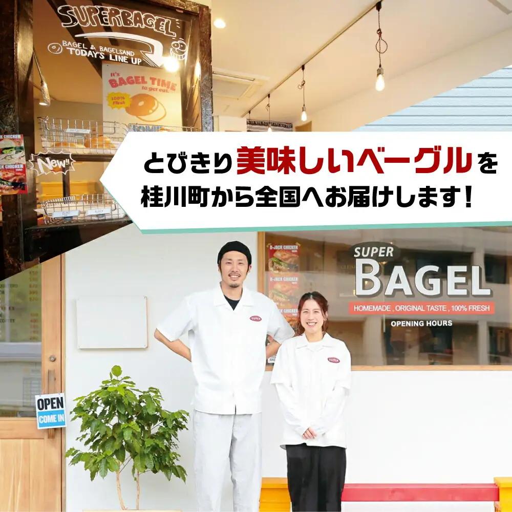 【隔月定期便 全3回】塩バター ベーグル 10個セット[ADBI007] ベーグル 塩パン