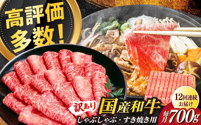 【全12回定期便】【訳あり】博多和牛 牛肉 しゃぶしゃぶ すき焼き用 700ｇ《築上町》【株式会社MEAT PLUS】[ABBP090]