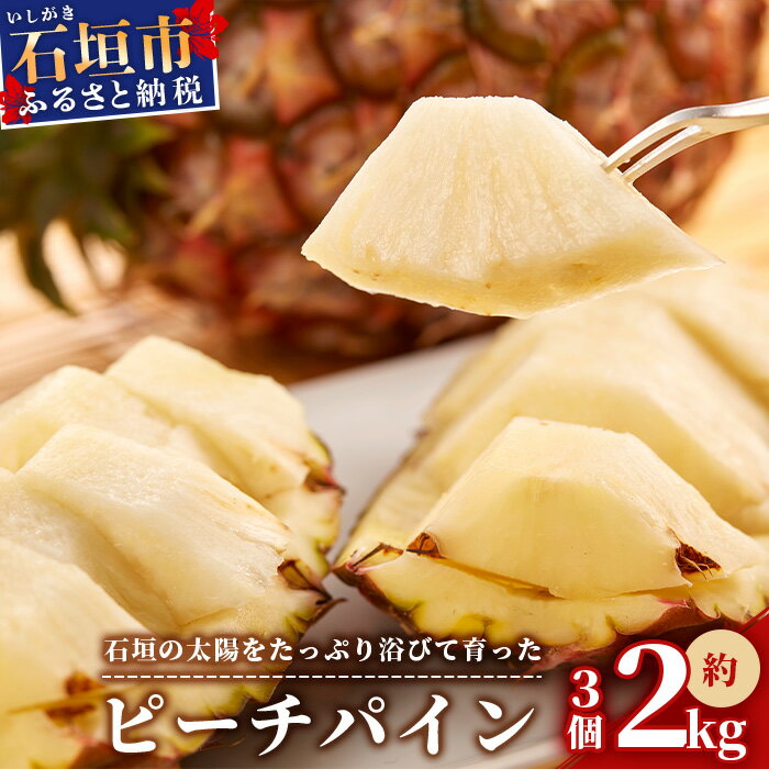 【ふるさと納税】 【先行受付】石垣パイン 3個セット ピーチ種【2025年5月初旬～6月初旬発送予定】ふるさと納税 パイナップル ピーチパイン パイン ピーチ種 果物 くだもの フルーツ 果実 国産 沖縄県 沖縄 石垣 石垣島 石垣市 ふるさと 人気 送料無料 MI-2-1